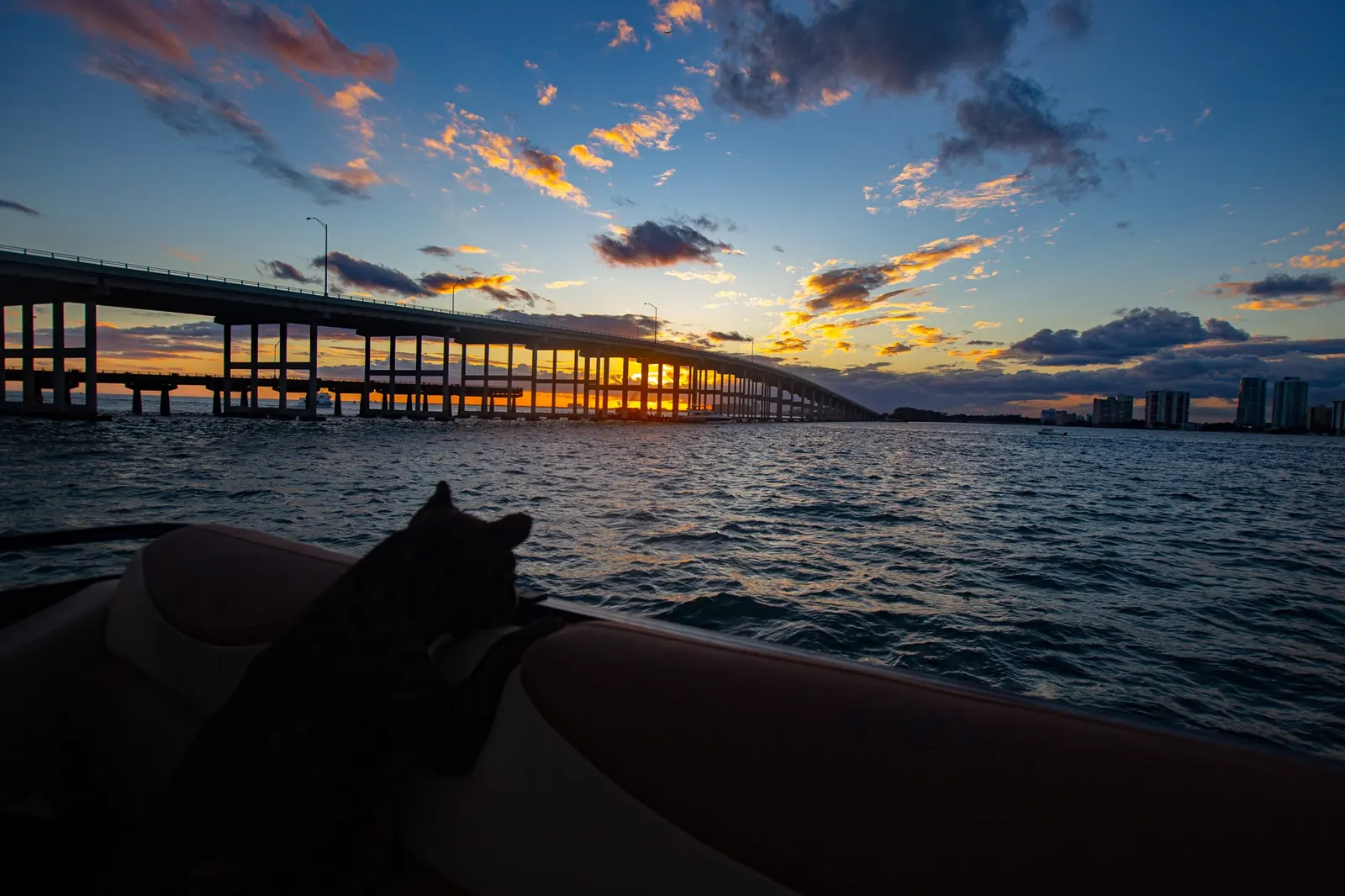 Sunset over Miami from the boat